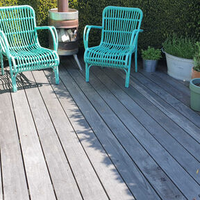 Accoya Color Grey