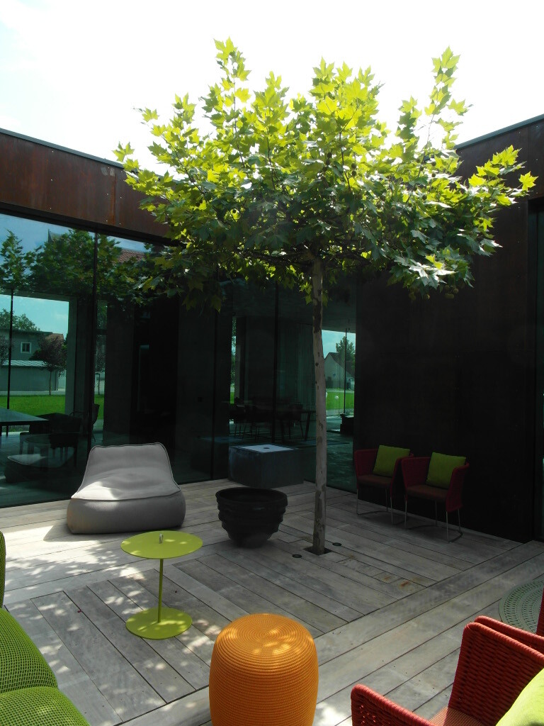 Terrasse aus Accoya