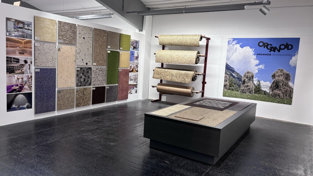 Ausstellungsraum Organoid